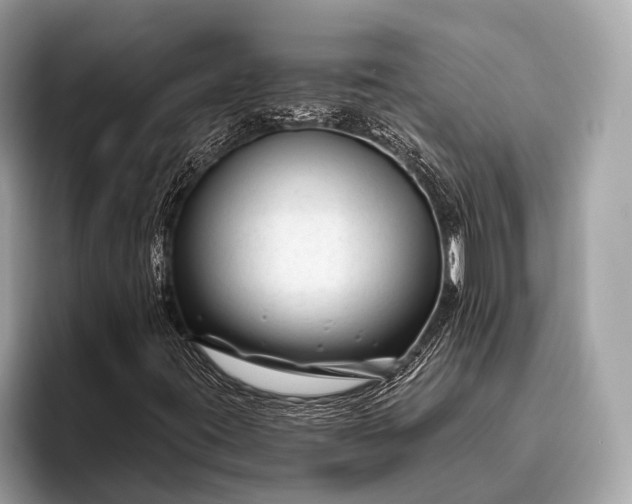 X0000095921395200801251020