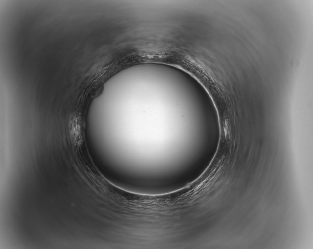 X0000095921396200801251020