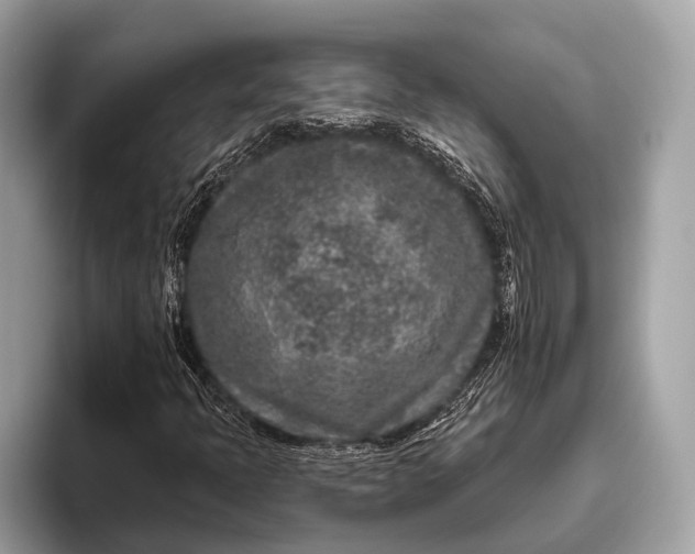 X0000095921397200801251020