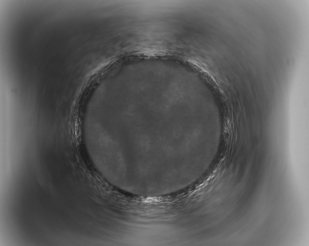 X0000095921398200801251020