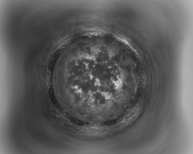 X0000095921399200801251020