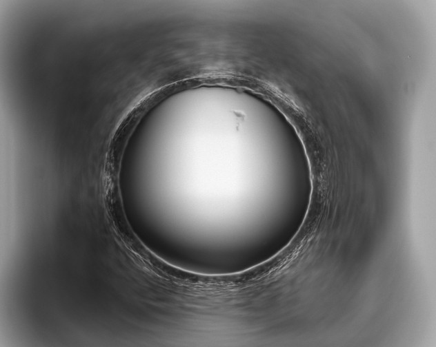 X0000095921400200801251020