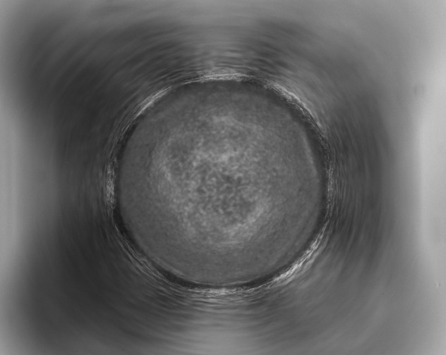 X0000095921401200801251020