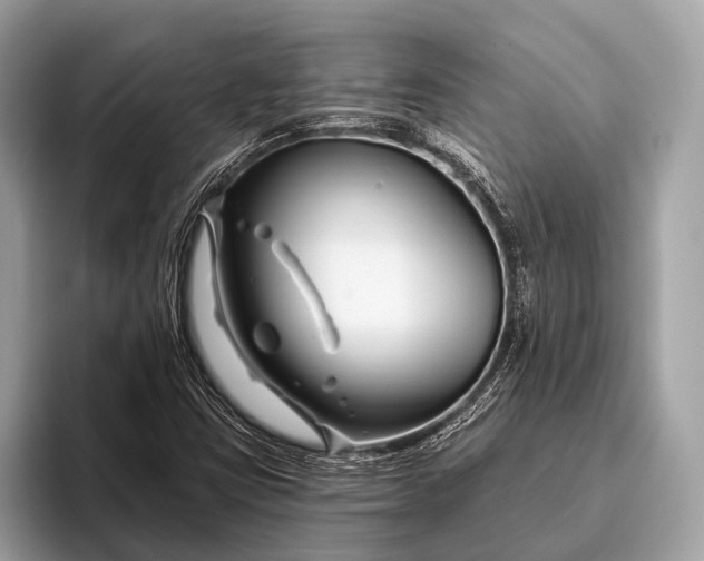 X0000095921403200801251020