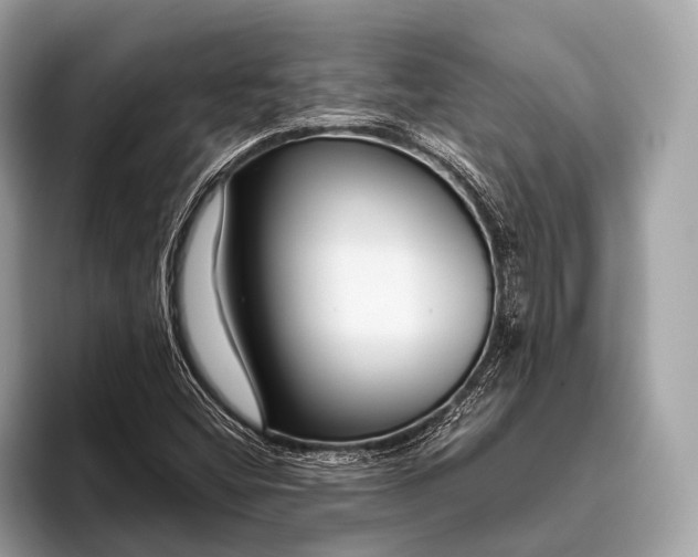 X0000095921404200801251020