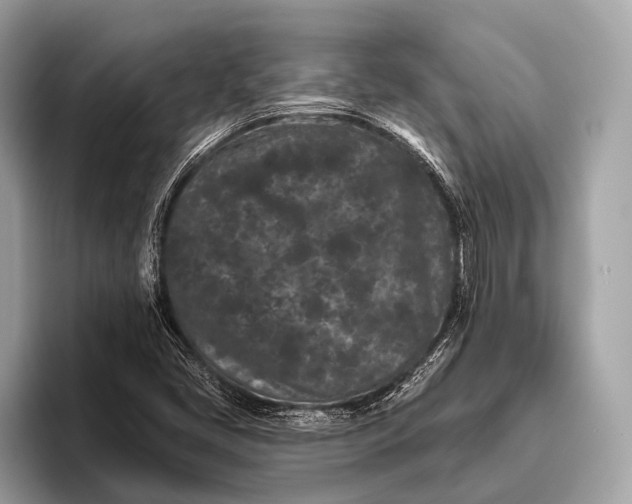 X0000095921405200801251020