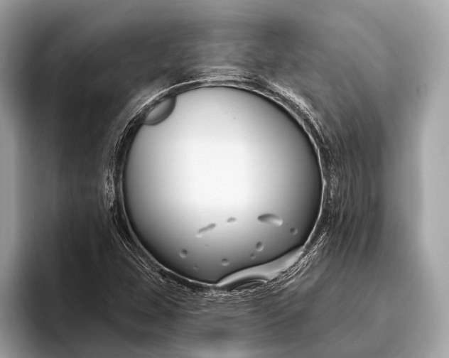 X0000095921407200801251020