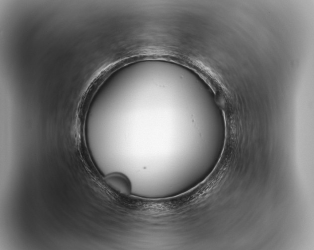 X0000095921408200801251020