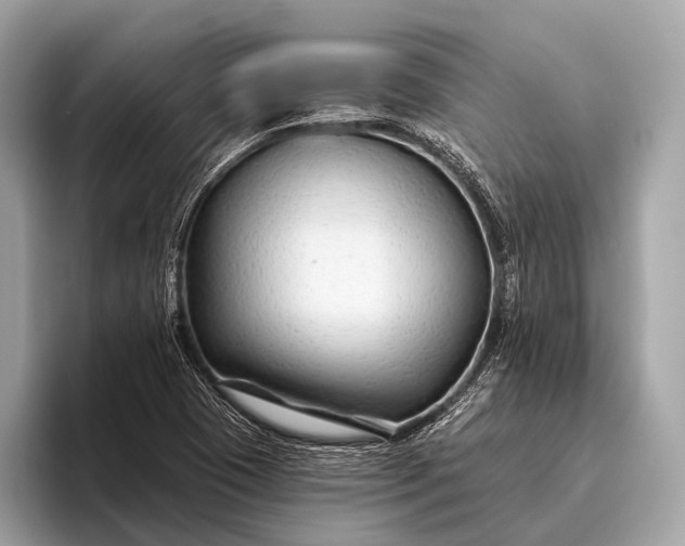 X0000095921409200801251021