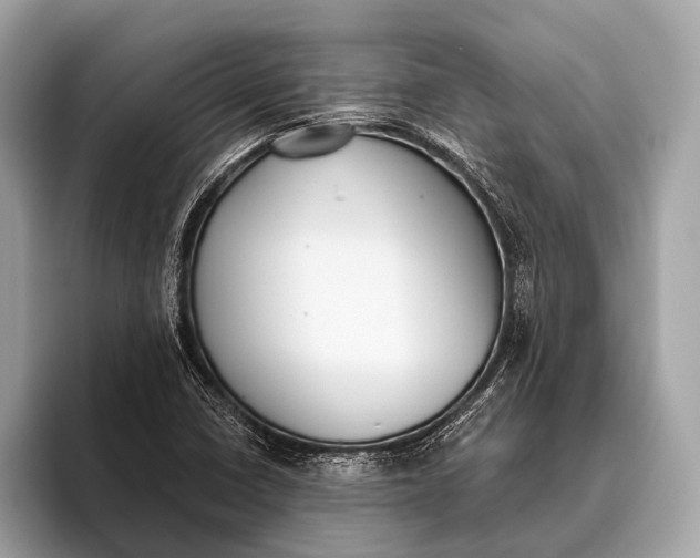 X0000095921410200801251021