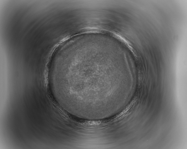 X0000095921411200801251021