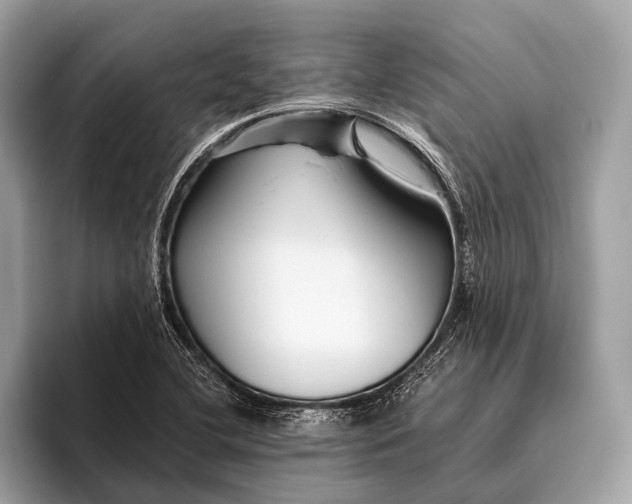 X0000095921412200801251021