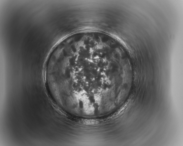 X0000095921413200801251021