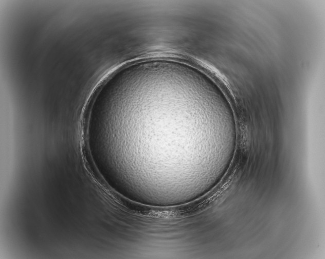 X0000095921415200801251021