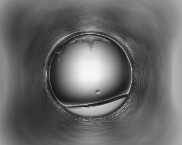 X0000095921416200801251021