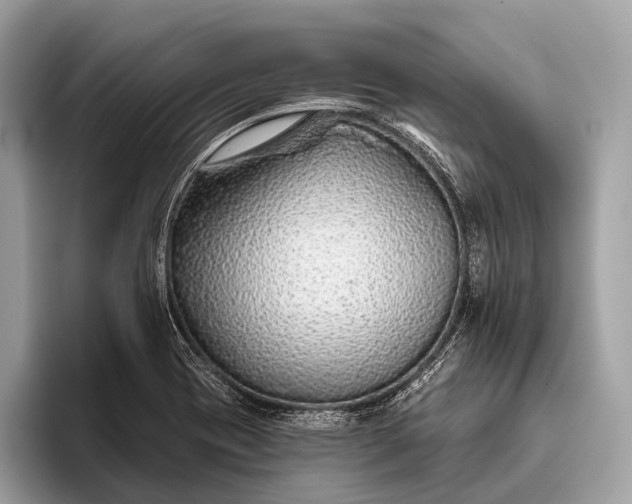 X0000095921417200801251021