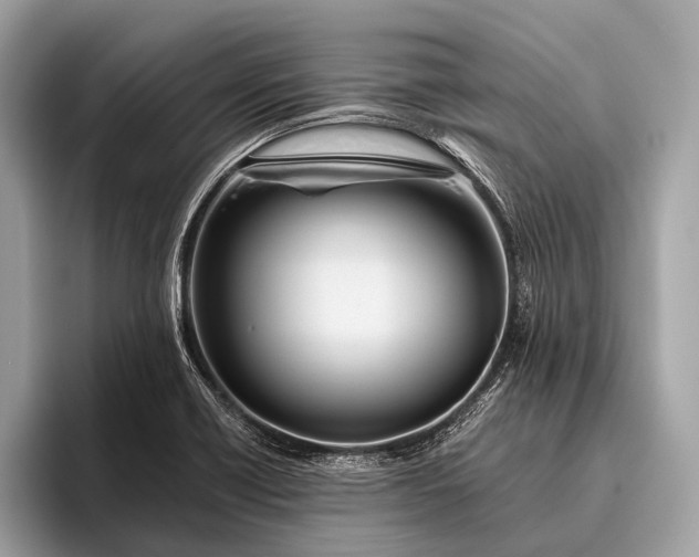 X0000095921418200801251021