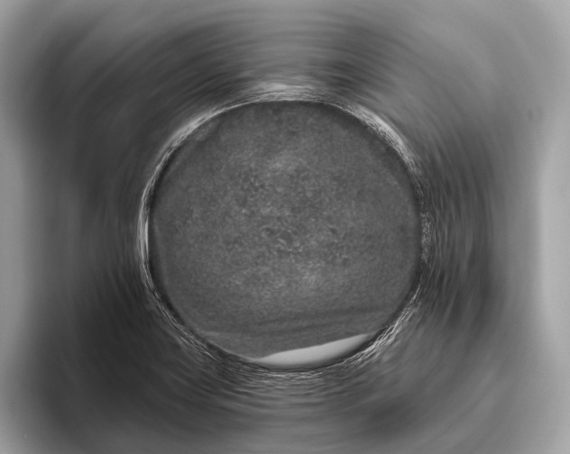 X0000095921419200801251021