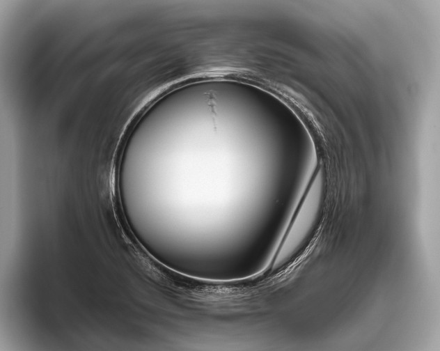 X0000095921420200801251021