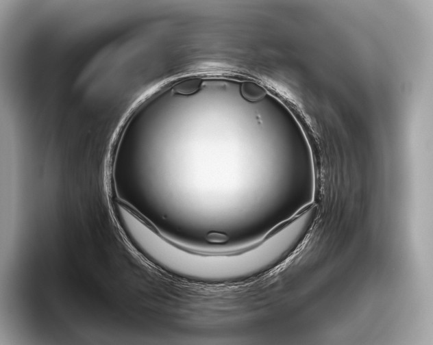 X0000095921421200801251021