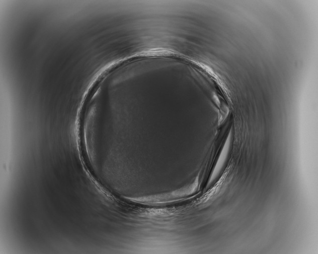 X0000095921422200801251021