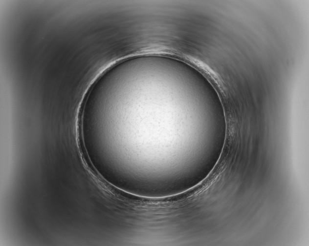 X0000095921423200801251021