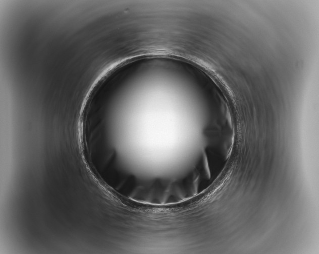 X0000095921424200801251021