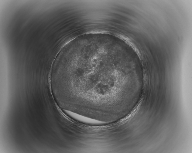 X0000095921425200801251021