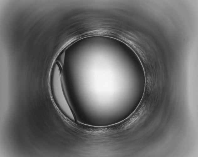 X0000095921426200801251021