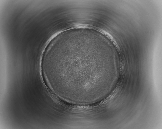 X0000095921427200801251021