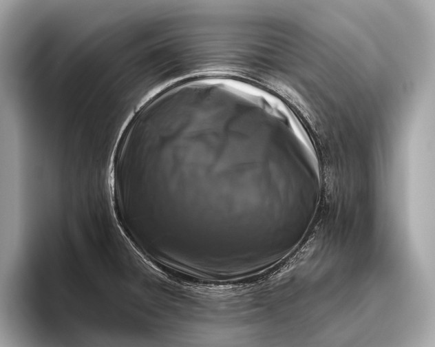 X0000095921428200801251021