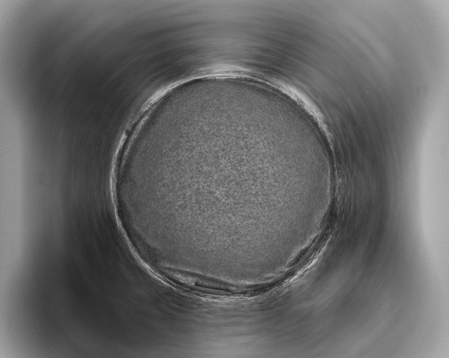 X0000095921429200801251021