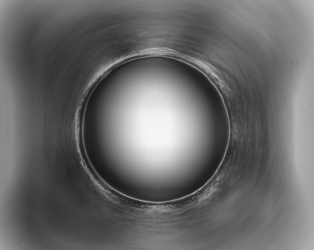 X0000095921430200801251021