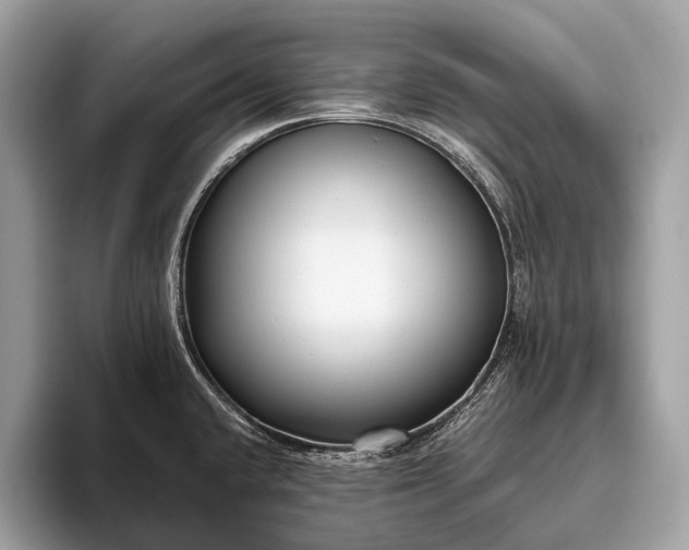 X0000095921432200801251021