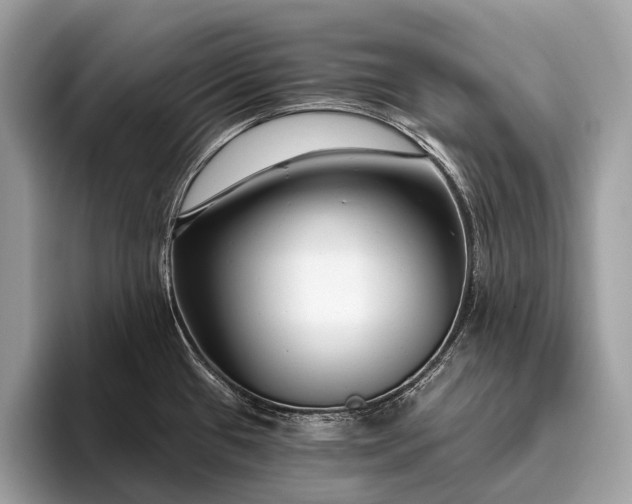 X0000095921433200801251021