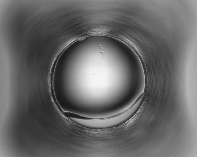 X0000095921434200801251021