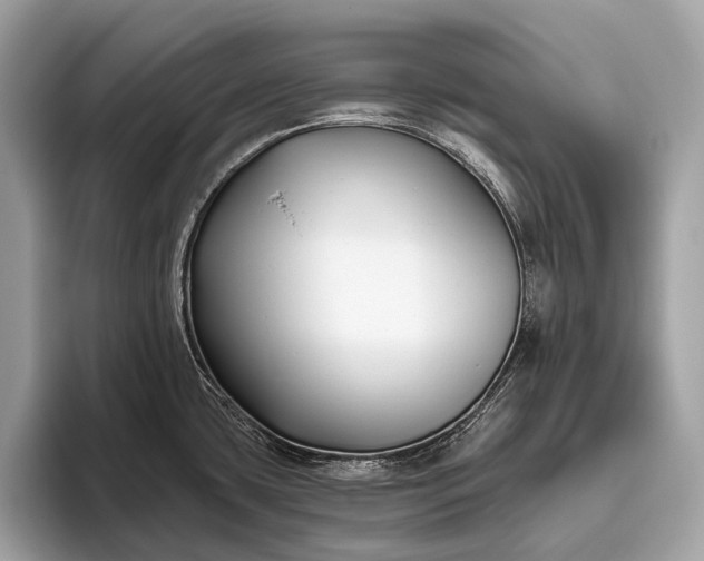 X0000095921435200801251021