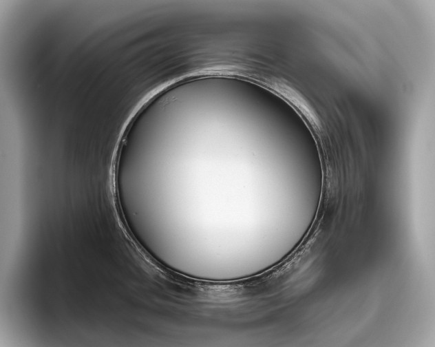 X0000095921436200801251021