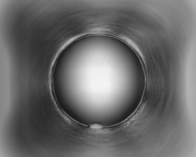 X0000095921437200801251021