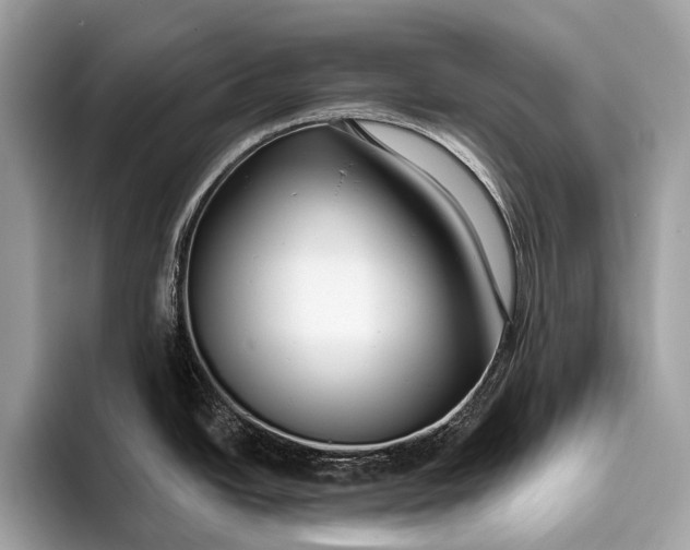 X0000095921438200801251021