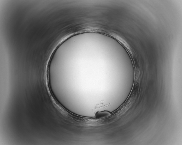 X0000095921439200801251021