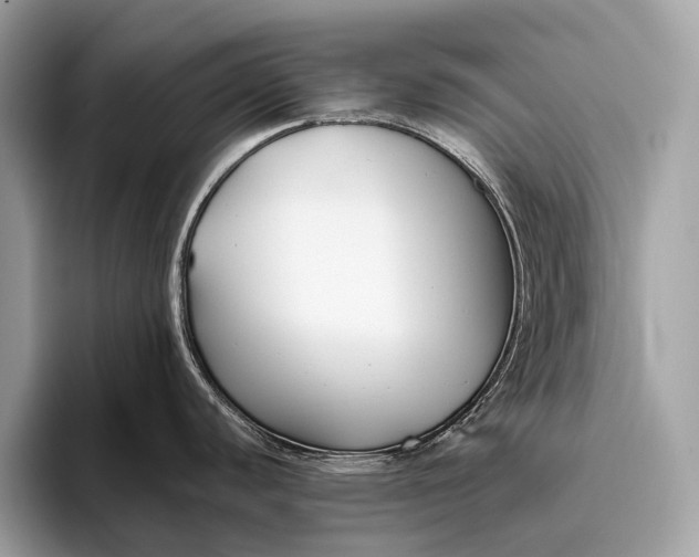 X0000095921440200801251021