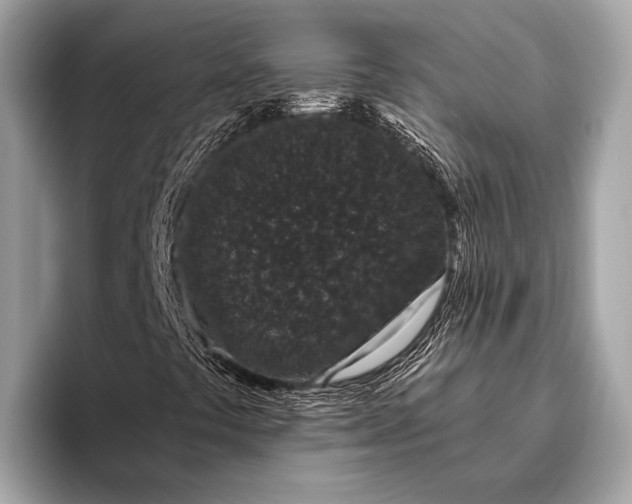 X0000095921441200801251020