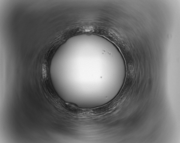 X0000095921442200801251020