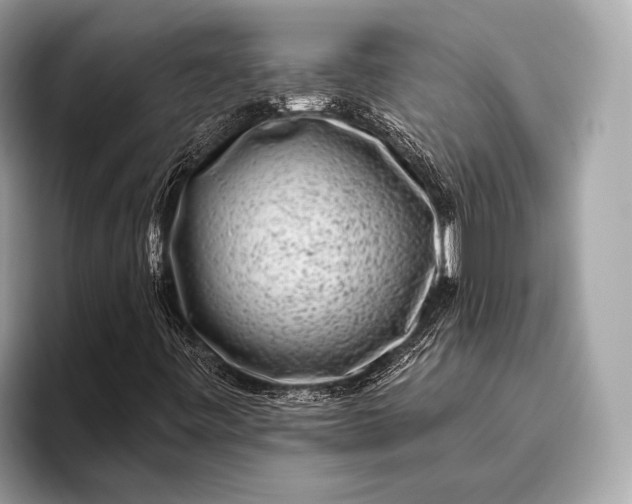 X0000095921443200801251020