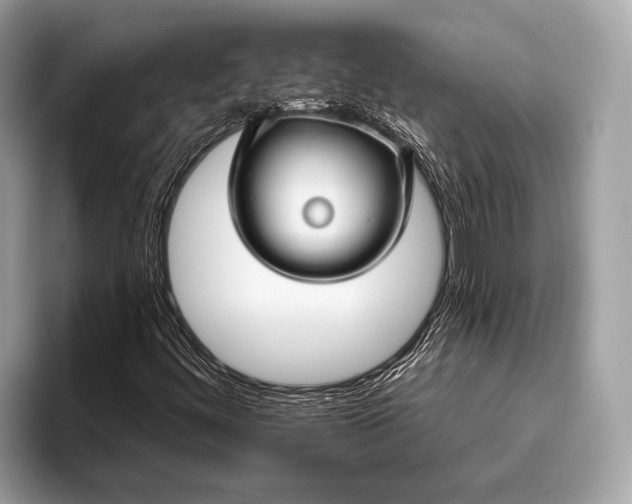 X0000095921444200801251020