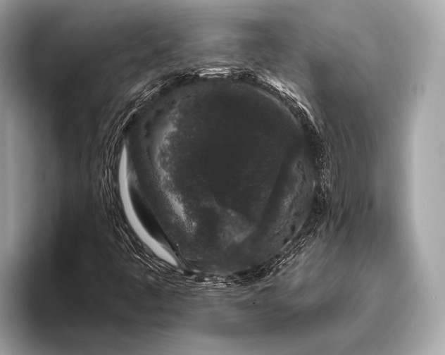 X0000095921445200801251020