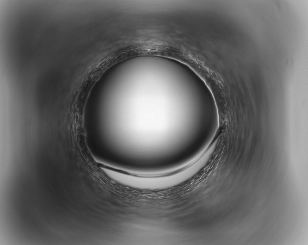 X0000095921447200801251020