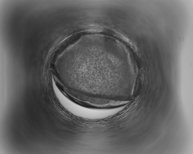 X0000095921448200801251020