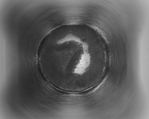 X0000095921449200801251020